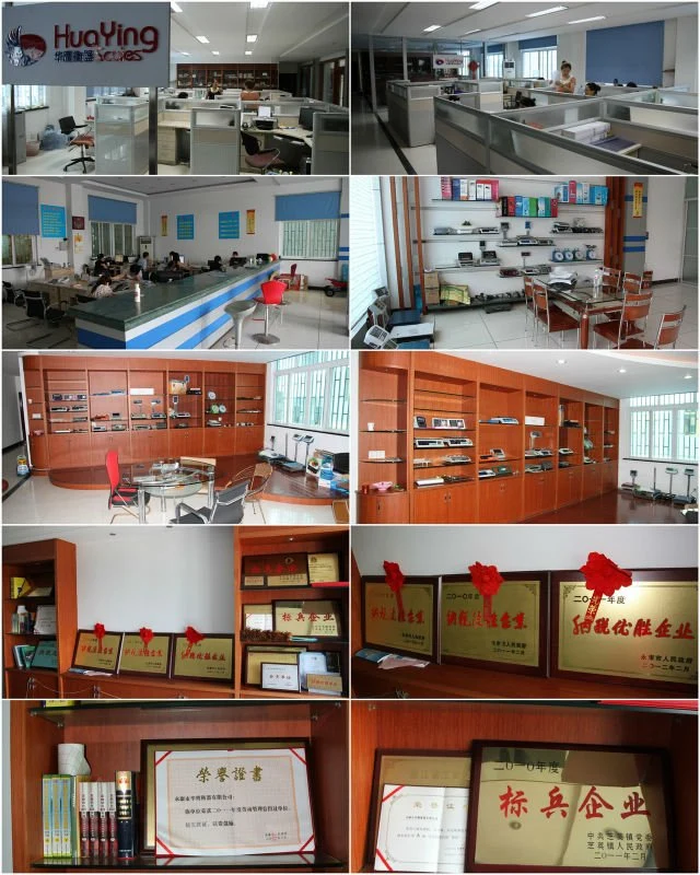 Professional Chinese Supplier Industrial Digital Electronic Scales